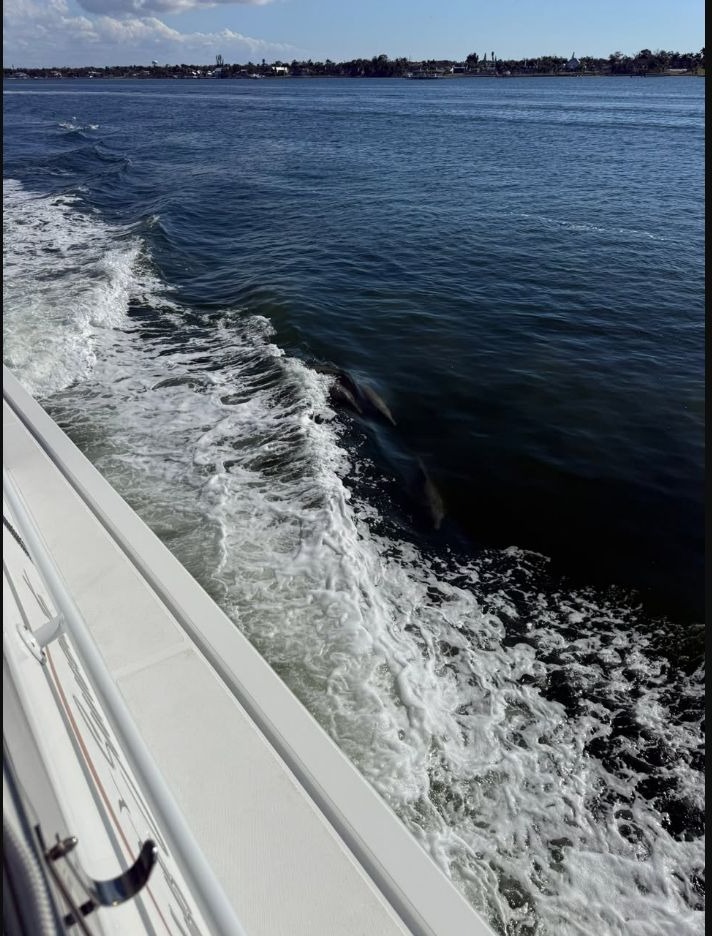 Aboard Endless Sunsets during Sunset Cruise to Marina Jack