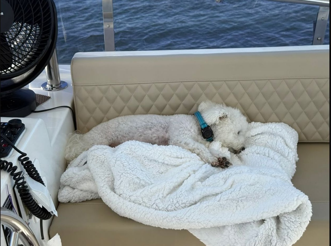 Sunset Cruise to Marina Jack